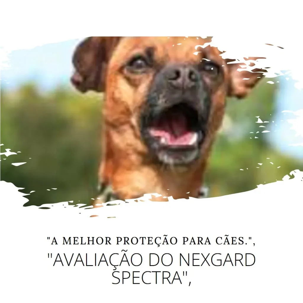 NexGard Spectra Antipulgas e Vermífugos para Cães: Proteção Completa