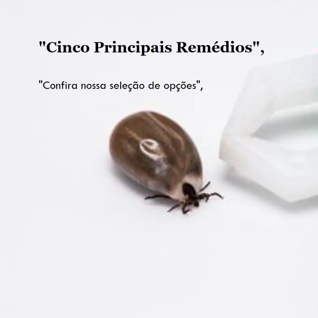 Cinco Principais Opções de remédio carrapato