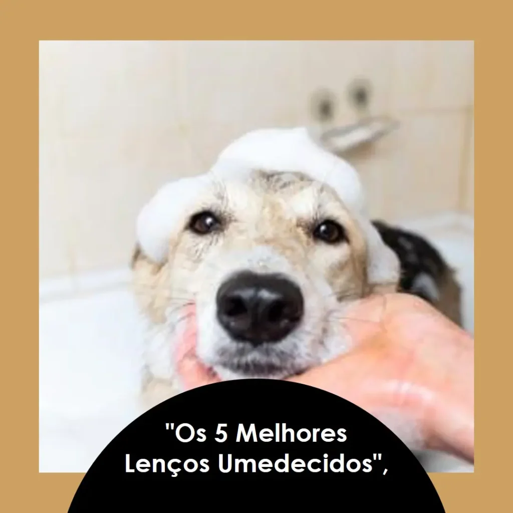 Lista de 5 Melhores: lenço umedecido para pet