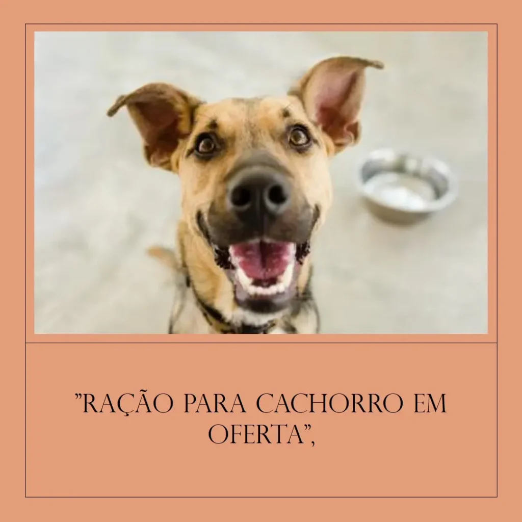 Principais Cinco ração para cachorro 15kg barata