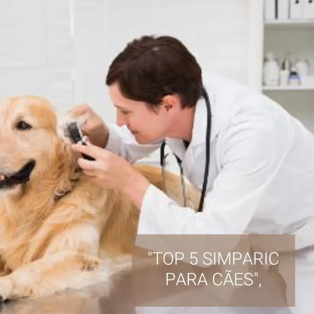Top 5 simparic 40 a 60 kg