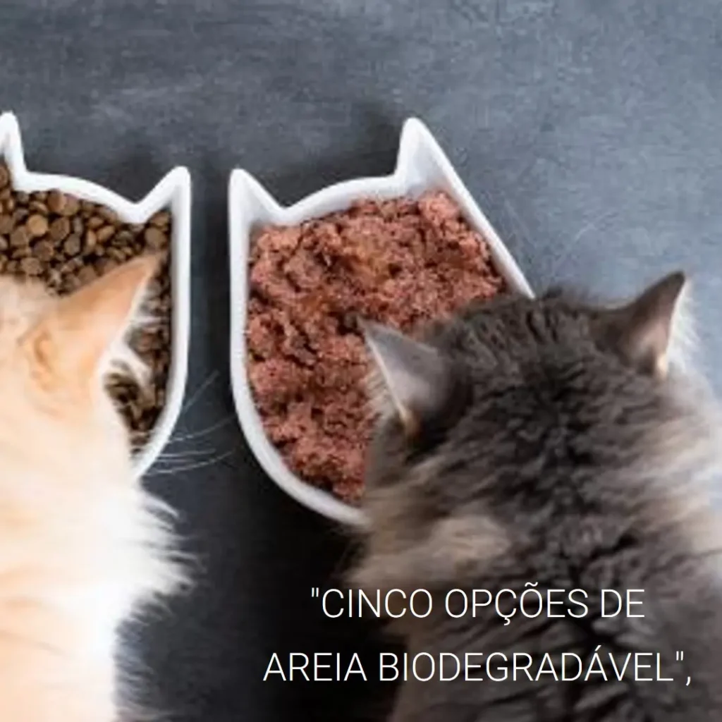 Cinco Principais Opções de areia biodegradável para gatos