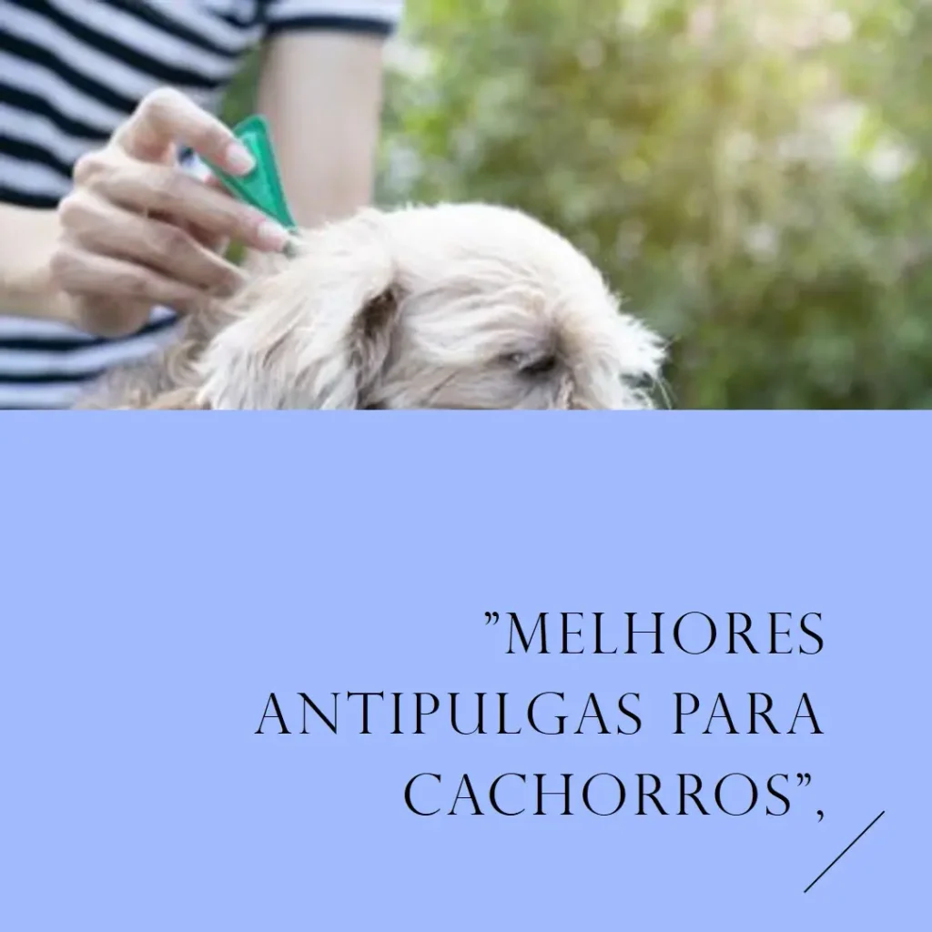 Lista de 5 Melhores: antipulgas cachorro