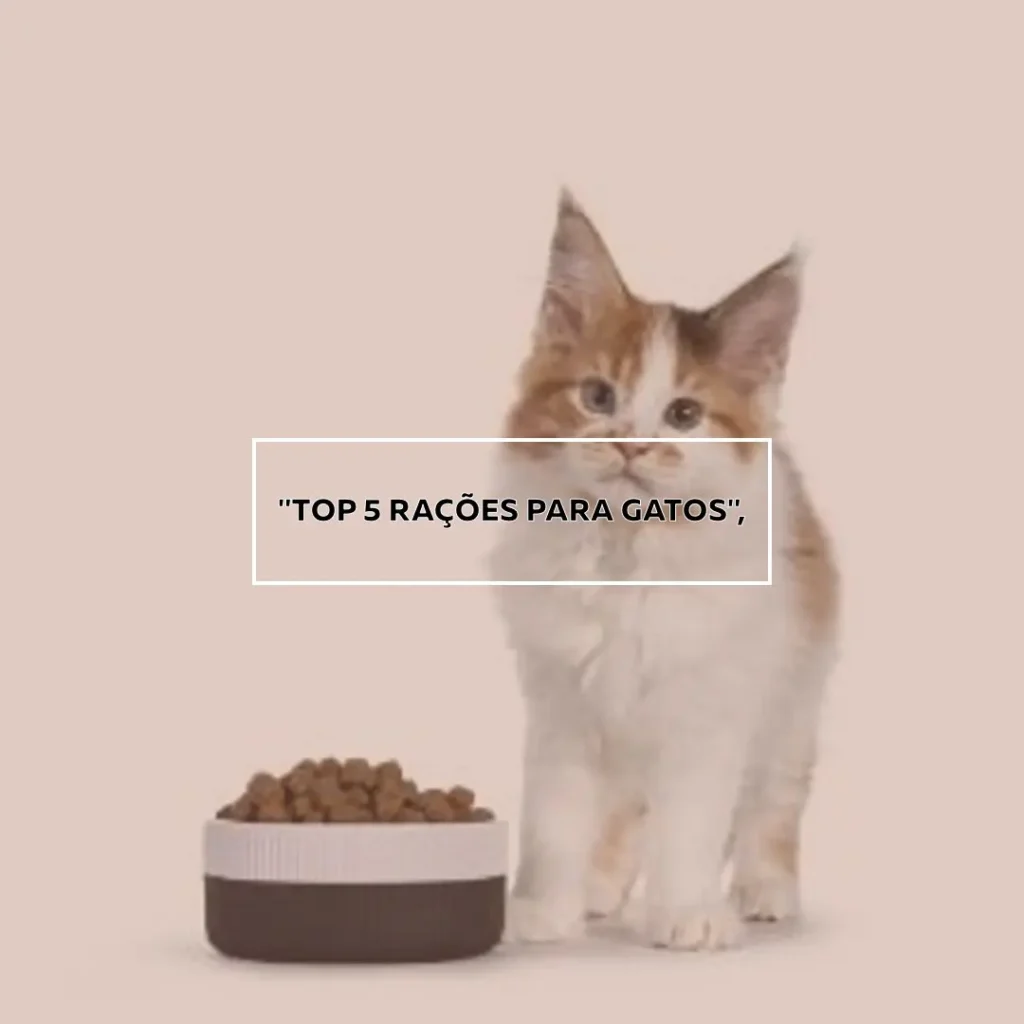 Top 5 ração para gatos premier