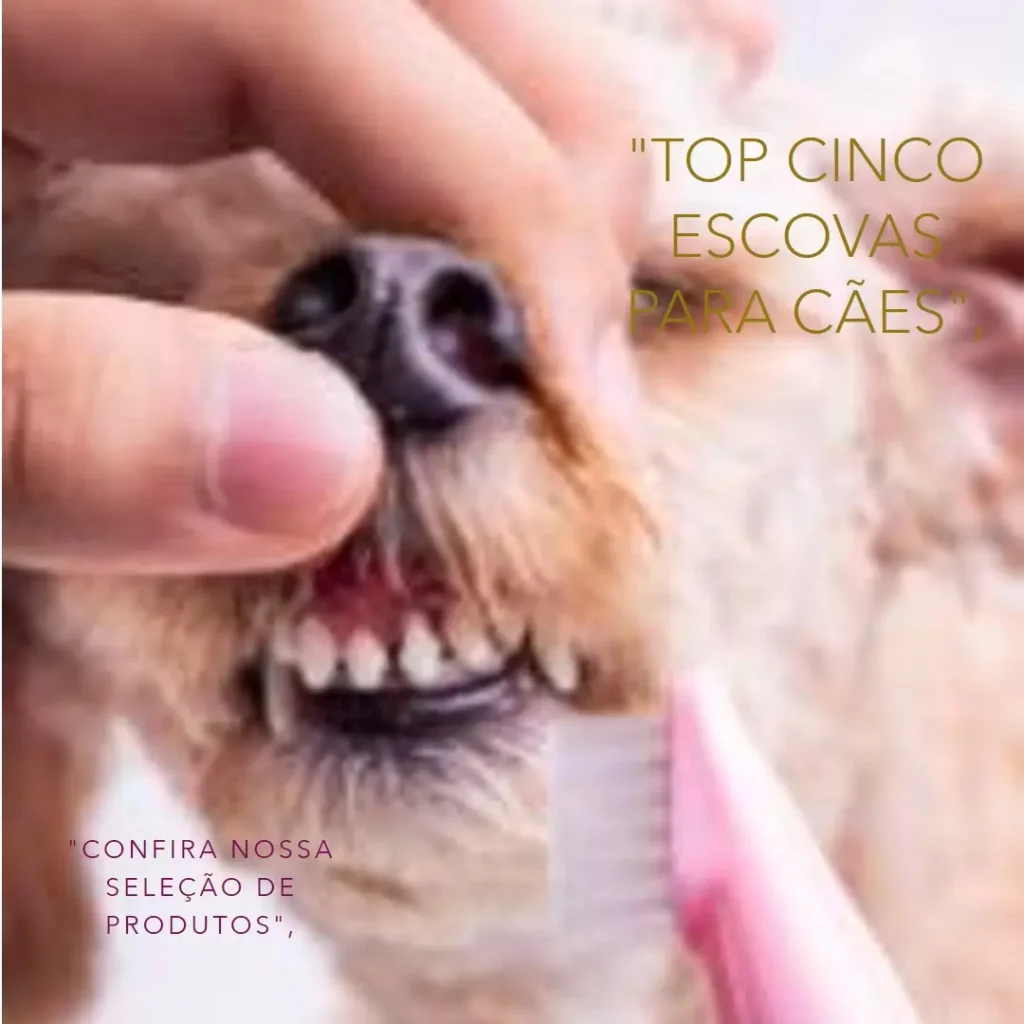 Top Cinco escova para pelo de cachorro