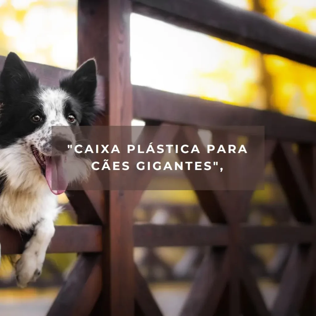Caixa Plástica Transporte Cães Grandes Gigantes Nº5 – Segurança e Conforto em Viagens