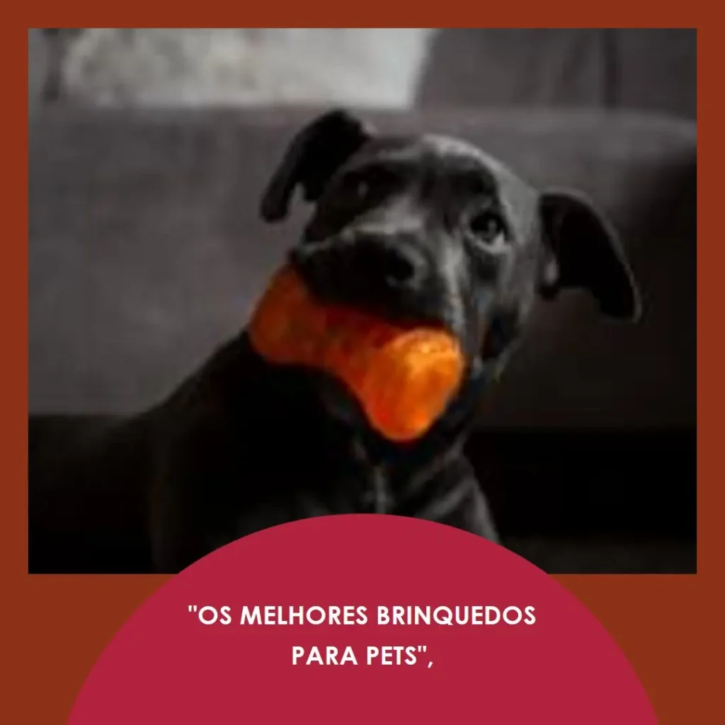 Principais Cinco brinquedos pet