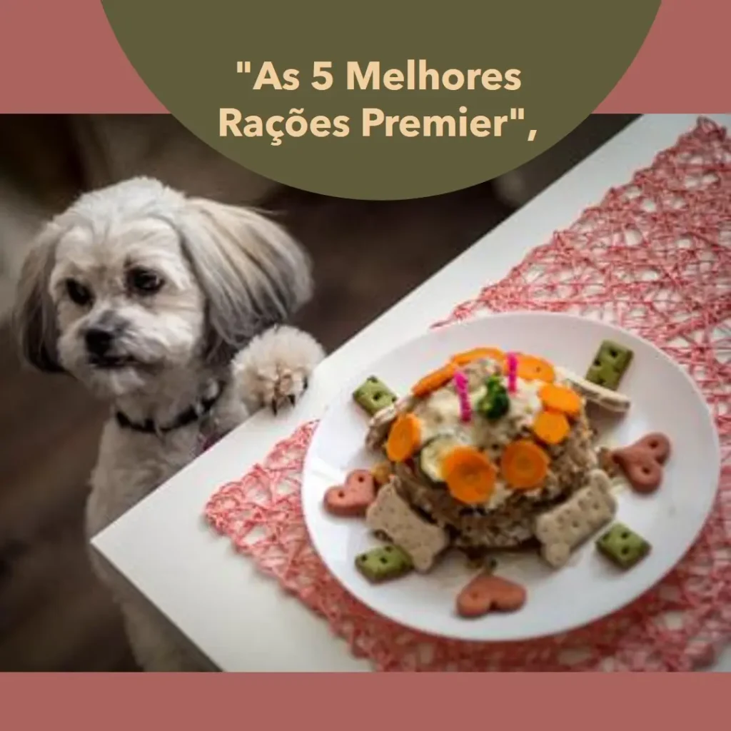 As 5 Melhores Opções de ração premier