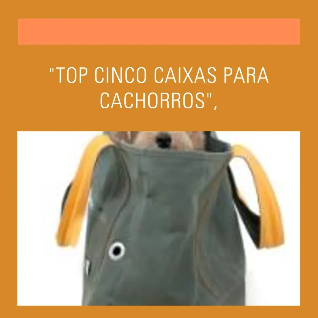 Top Cinco caixa para transporte de cachorro