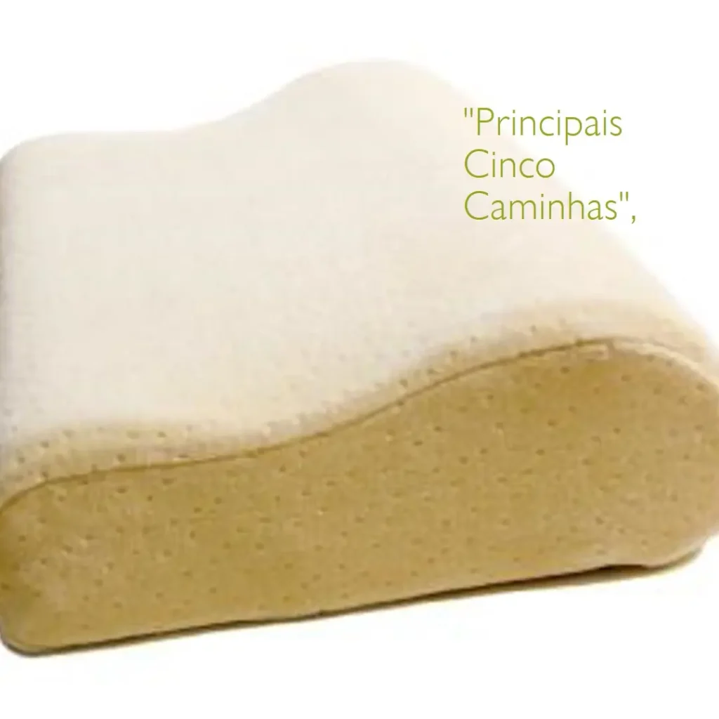 Principais Cinco caminha para cachorro medio