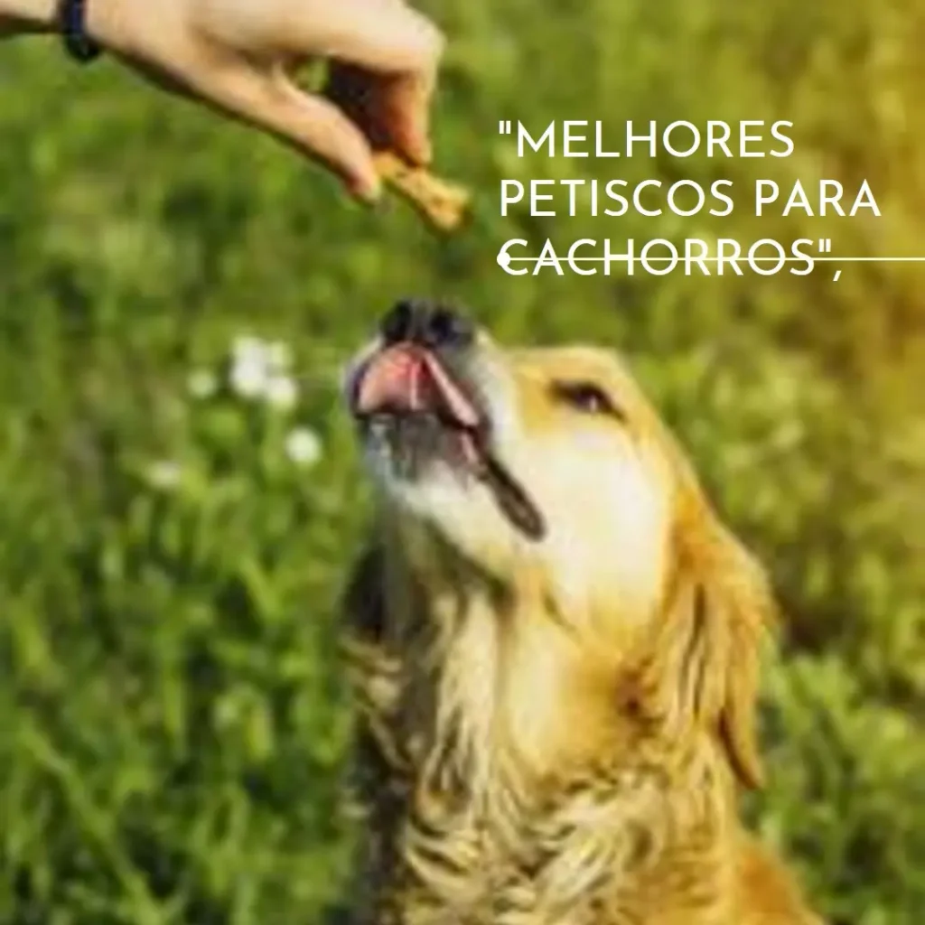 Lista de 5 Melhores:  petiscos para cachorros