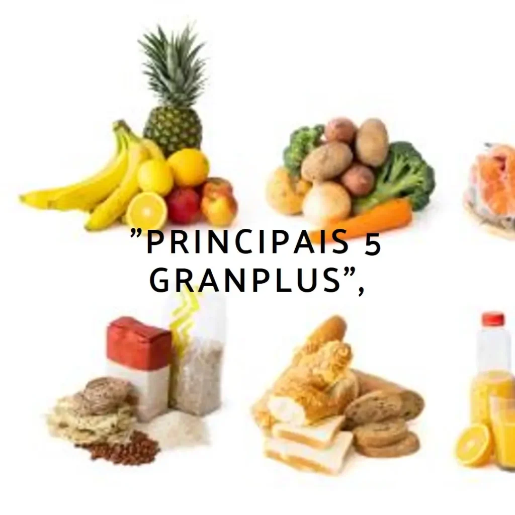 Principais 5 granplus