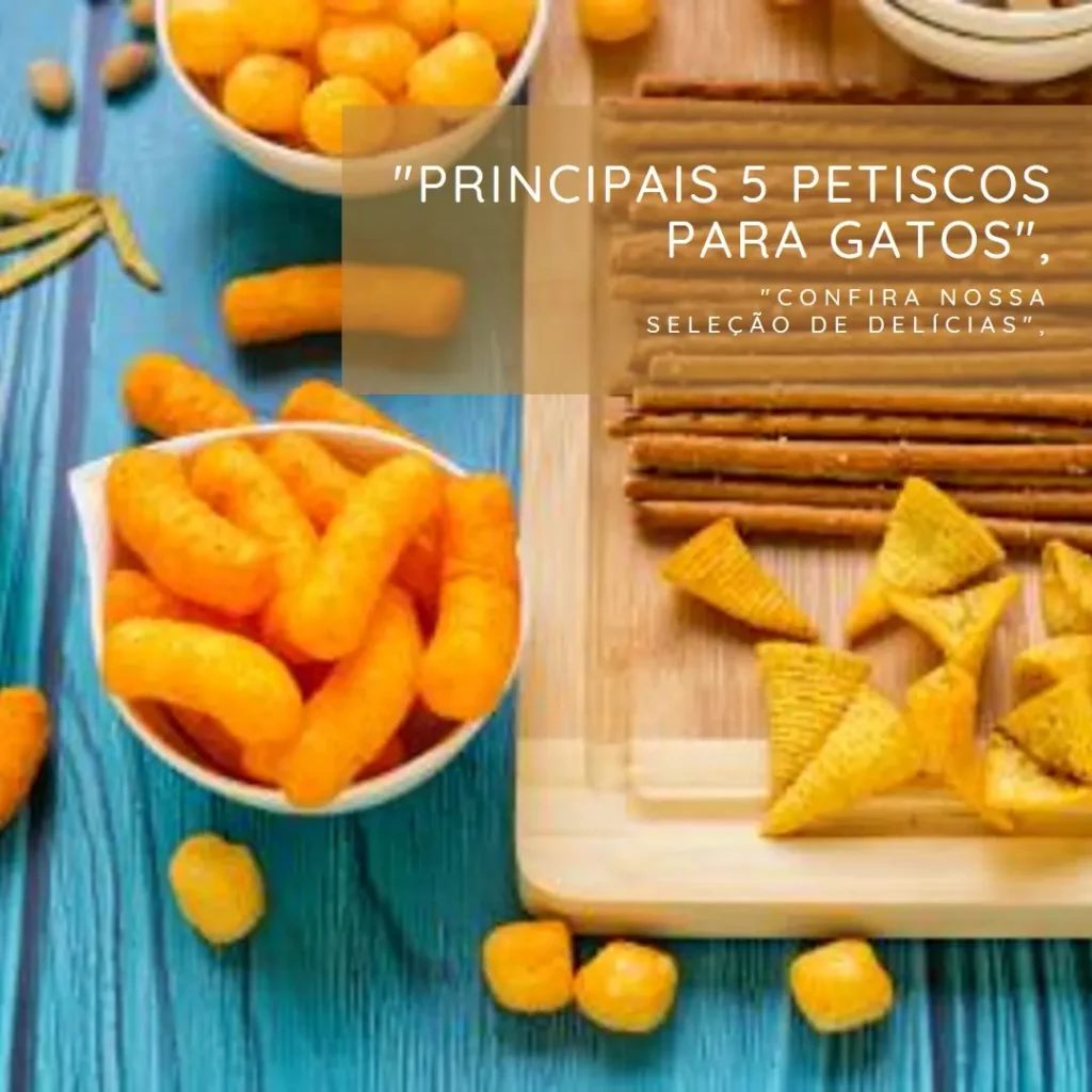 Principais 5 petiscos para gatos filhotes