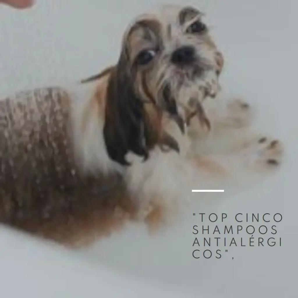 Top Cinco shampoo antialergico para caes