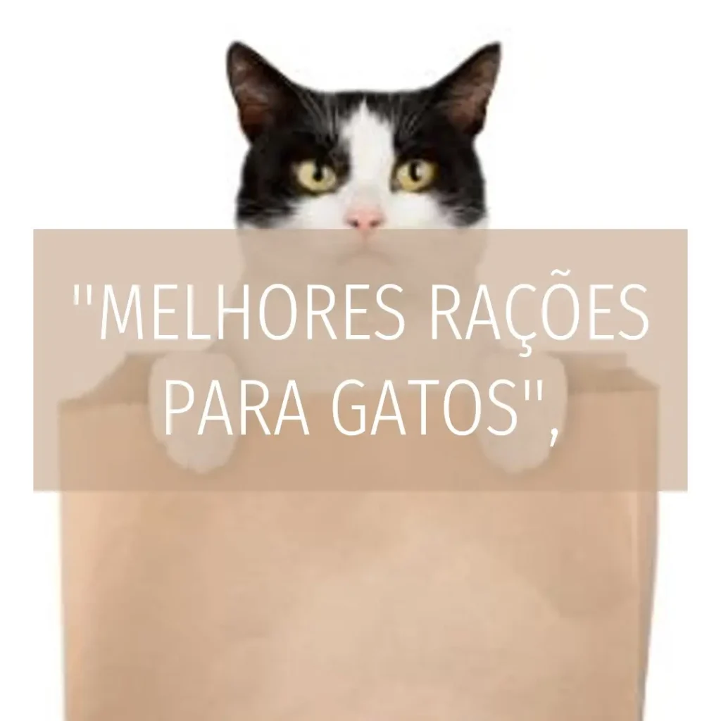 Melhores 5 ração premier gato