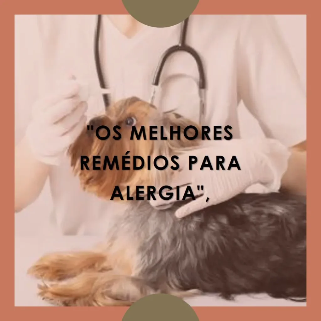 Principais Cinco remédio para alergia de cachorro