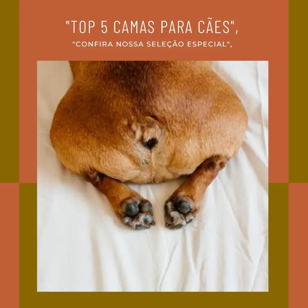 Top 5 Opções de cama para caes