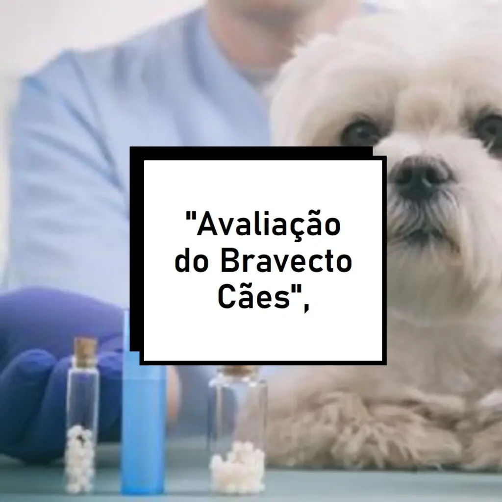 Combo 2 Unidades Antipulgas Bravecto para Cães 10 a 20kg: Proteção Eficiente e Prática