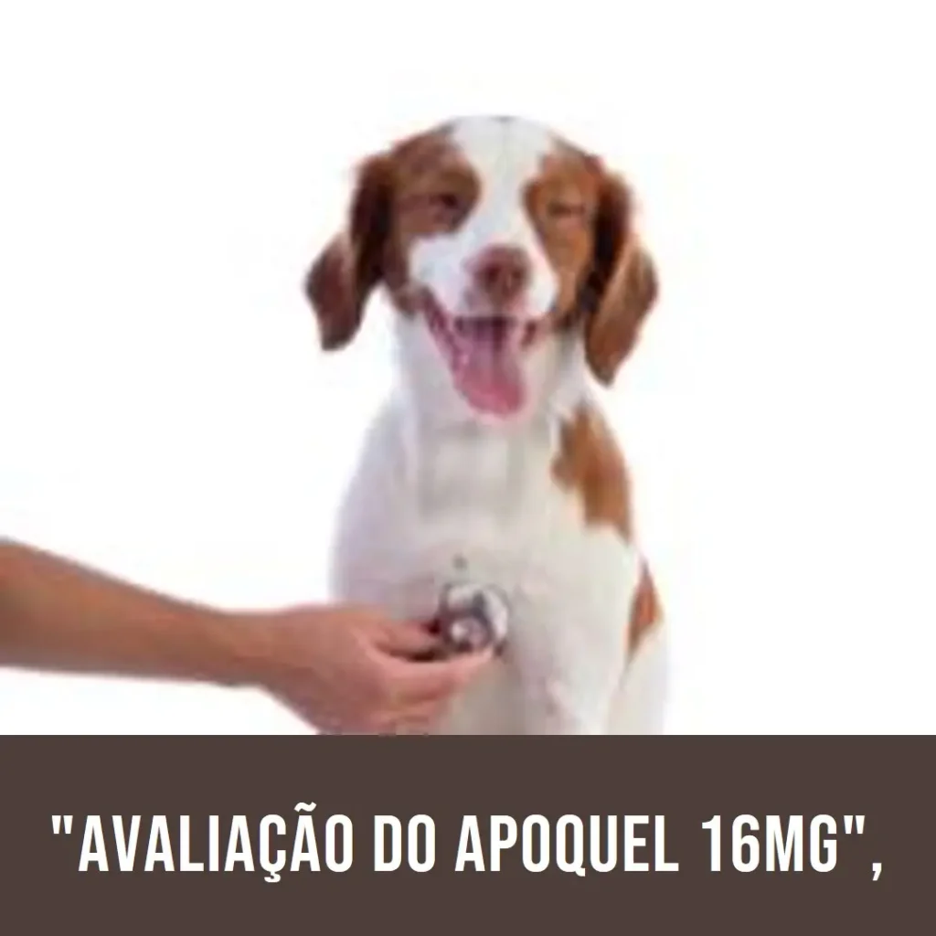 Apoquel 16mg para Cachorros: Alívio Dermatológico Eficaz