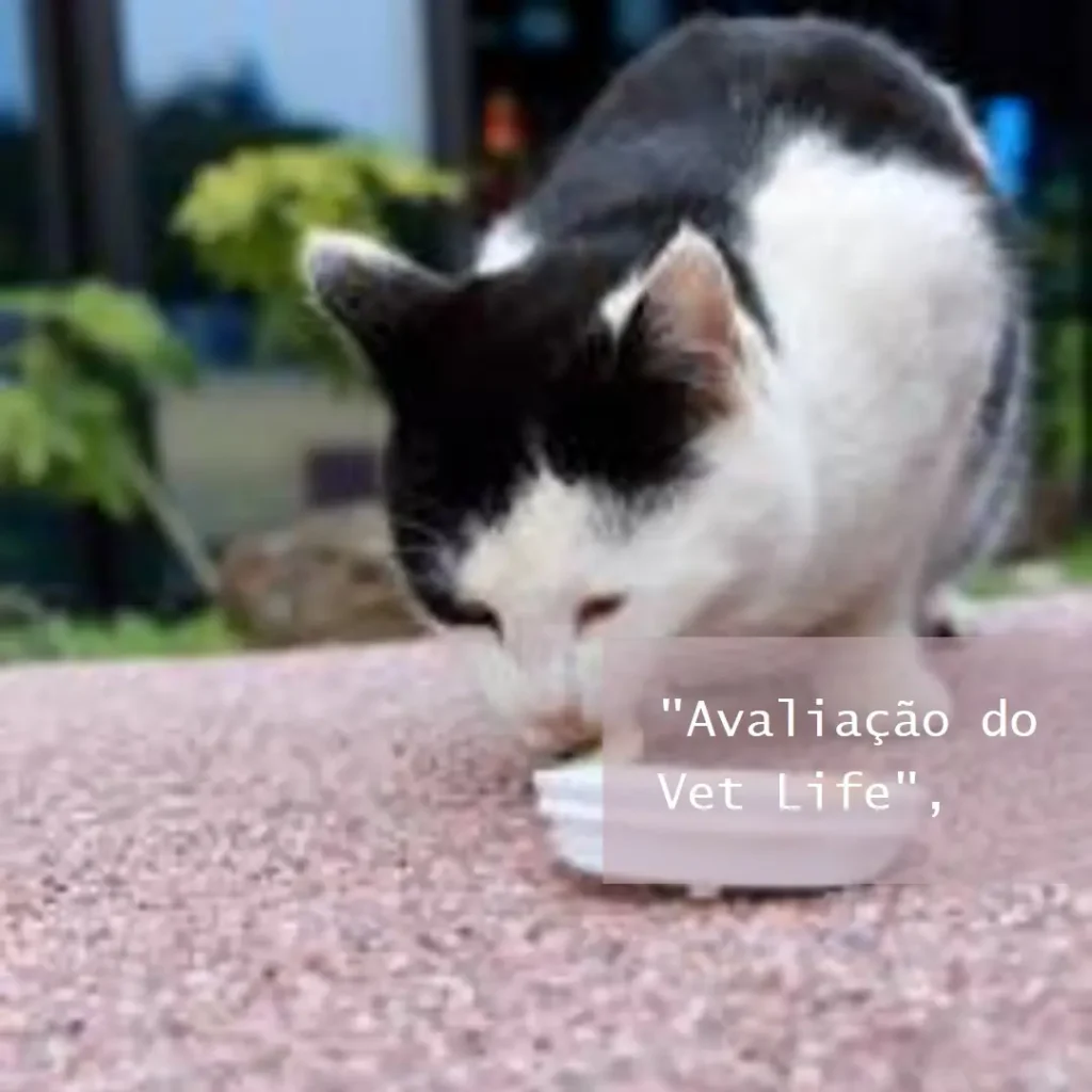 Vet Life Farmina Urinary Struvite para Gatos Adultos