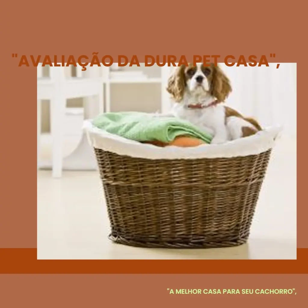 Dura Pet Casa de Cachorro Durahouse N.5 – Conforto e Durabilidade