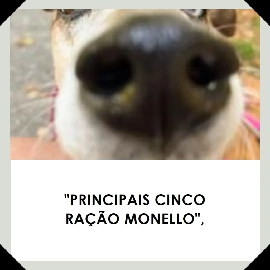 Principais Cinco ração monello