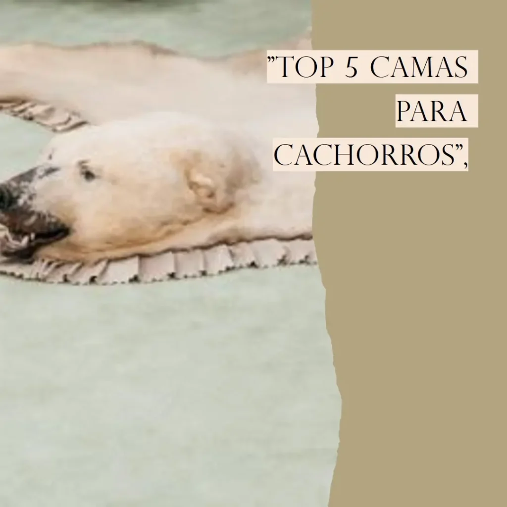 Top 5 Opções de cama para cachorro grande