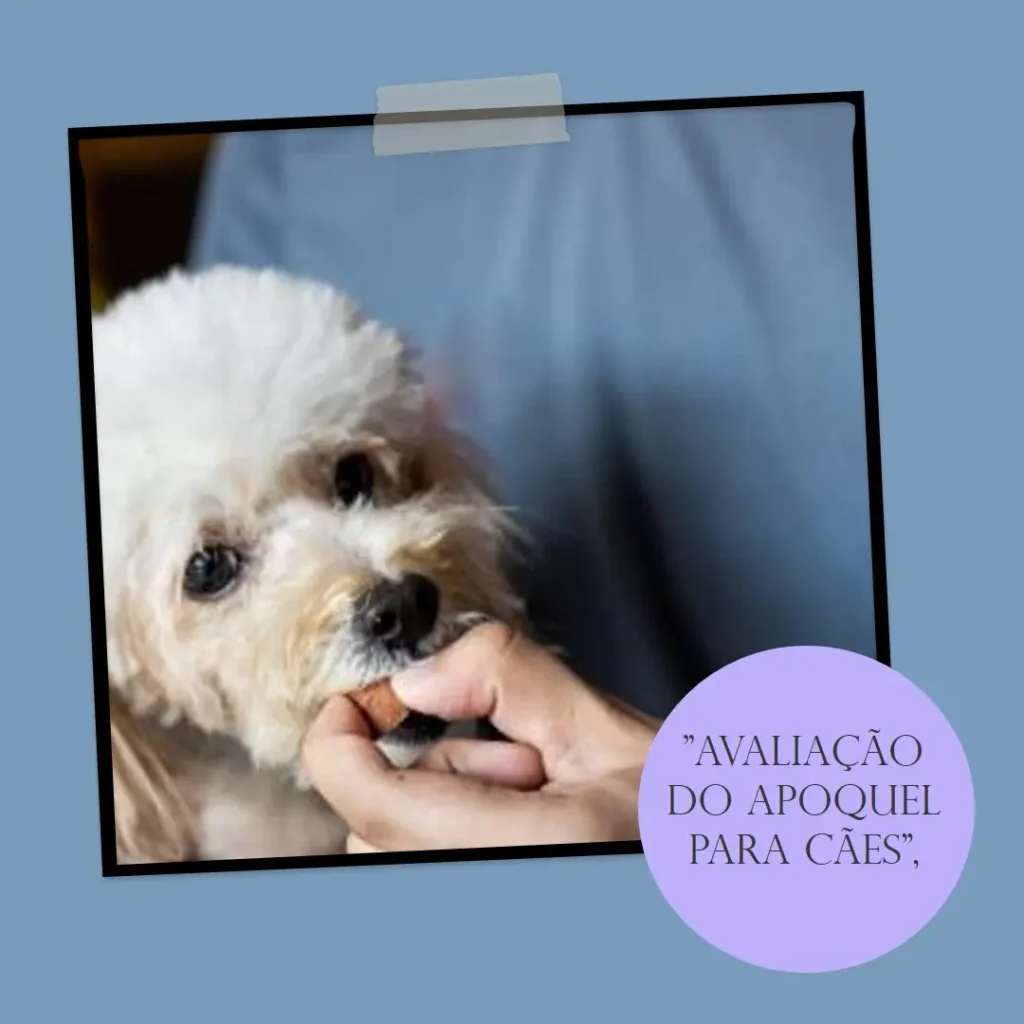 Zoetis Apoquel 5,4mg 20 Comprimidos para Cães: Alívio rápido para dermatites alérgicas