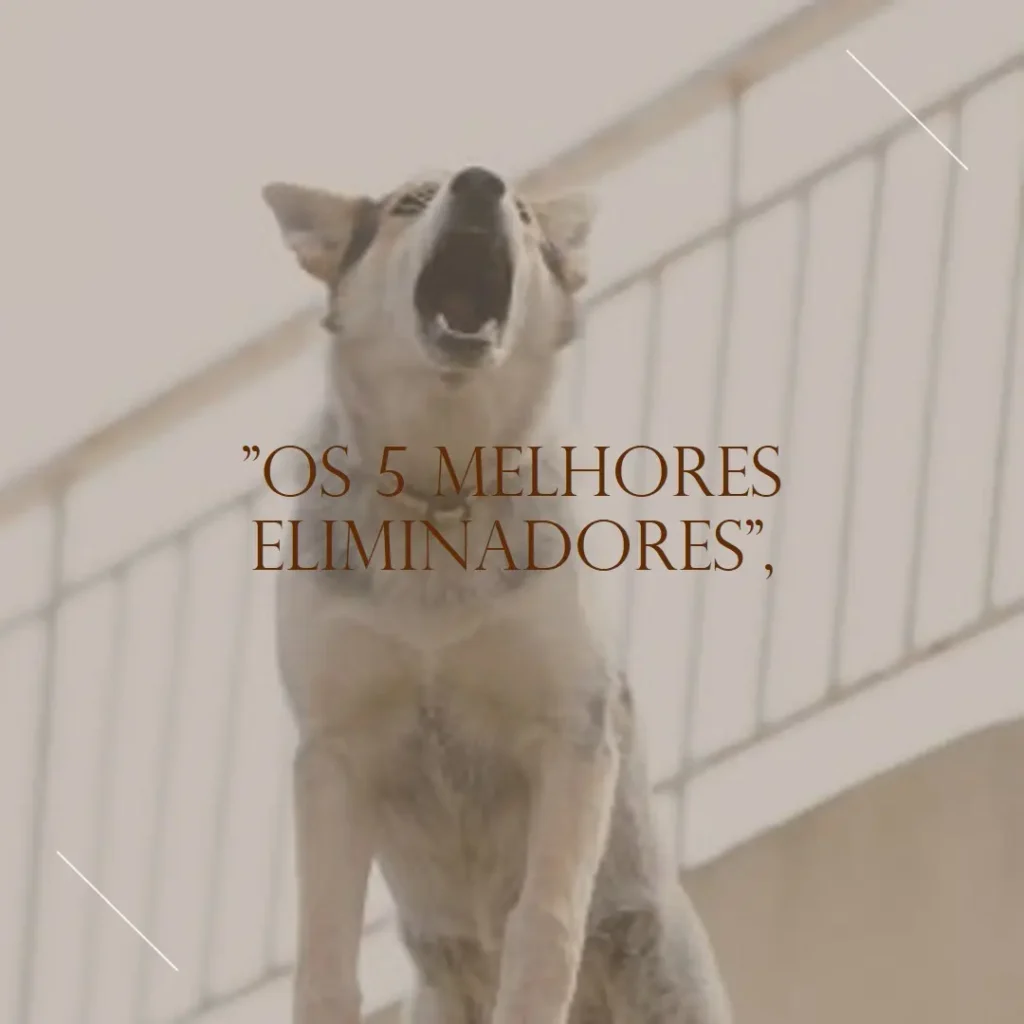 Lista de 5 Melhores: sanol dog eliminador de odores