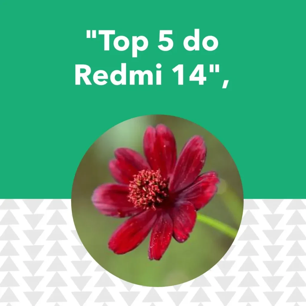 Top 5 Redmi 14