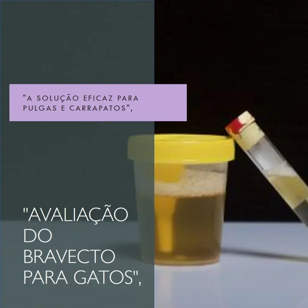 Bravecto Transdermal para Gatos 2,8 a 6,25kg: Proteção Garantida