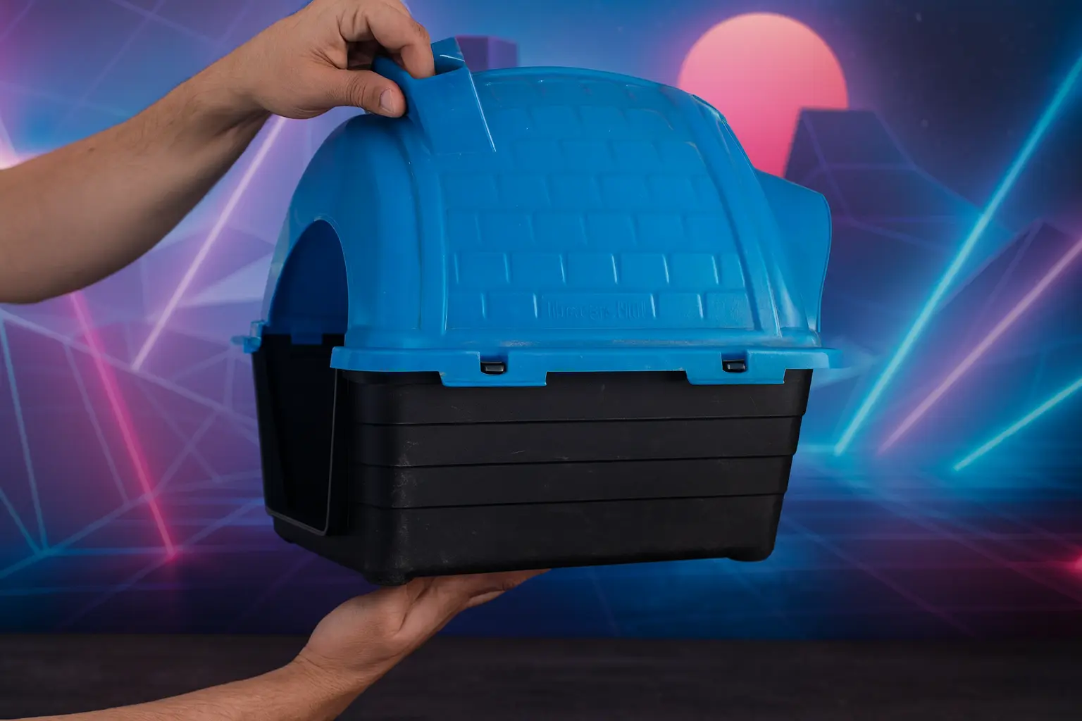 Bons e baratos: 3 casa de cachorros para comprar sem medo