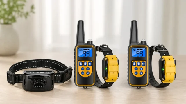 Coleiras que dão choque: 3 opções de modelos por perfil de uso